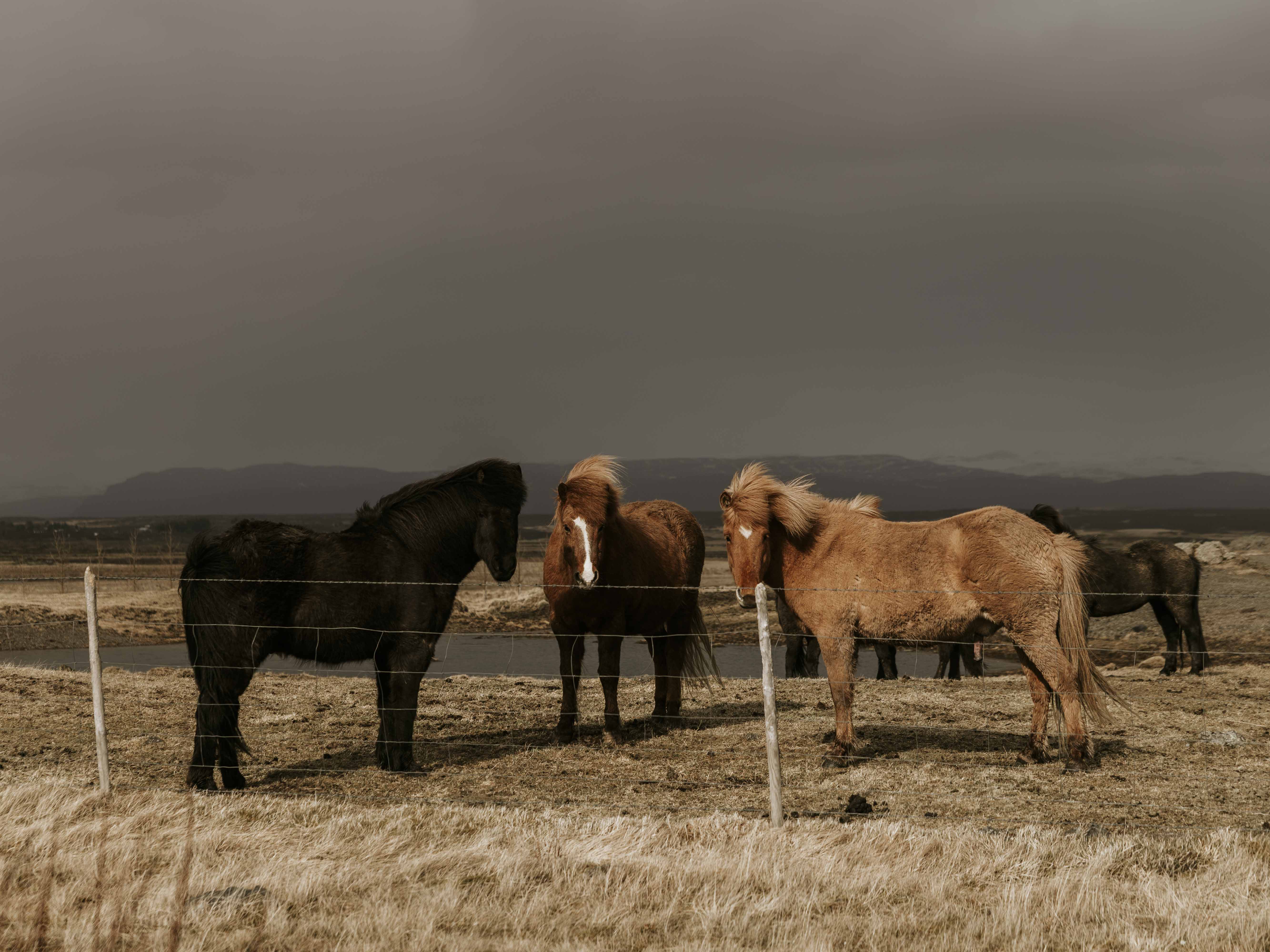 Iceland landscape 11