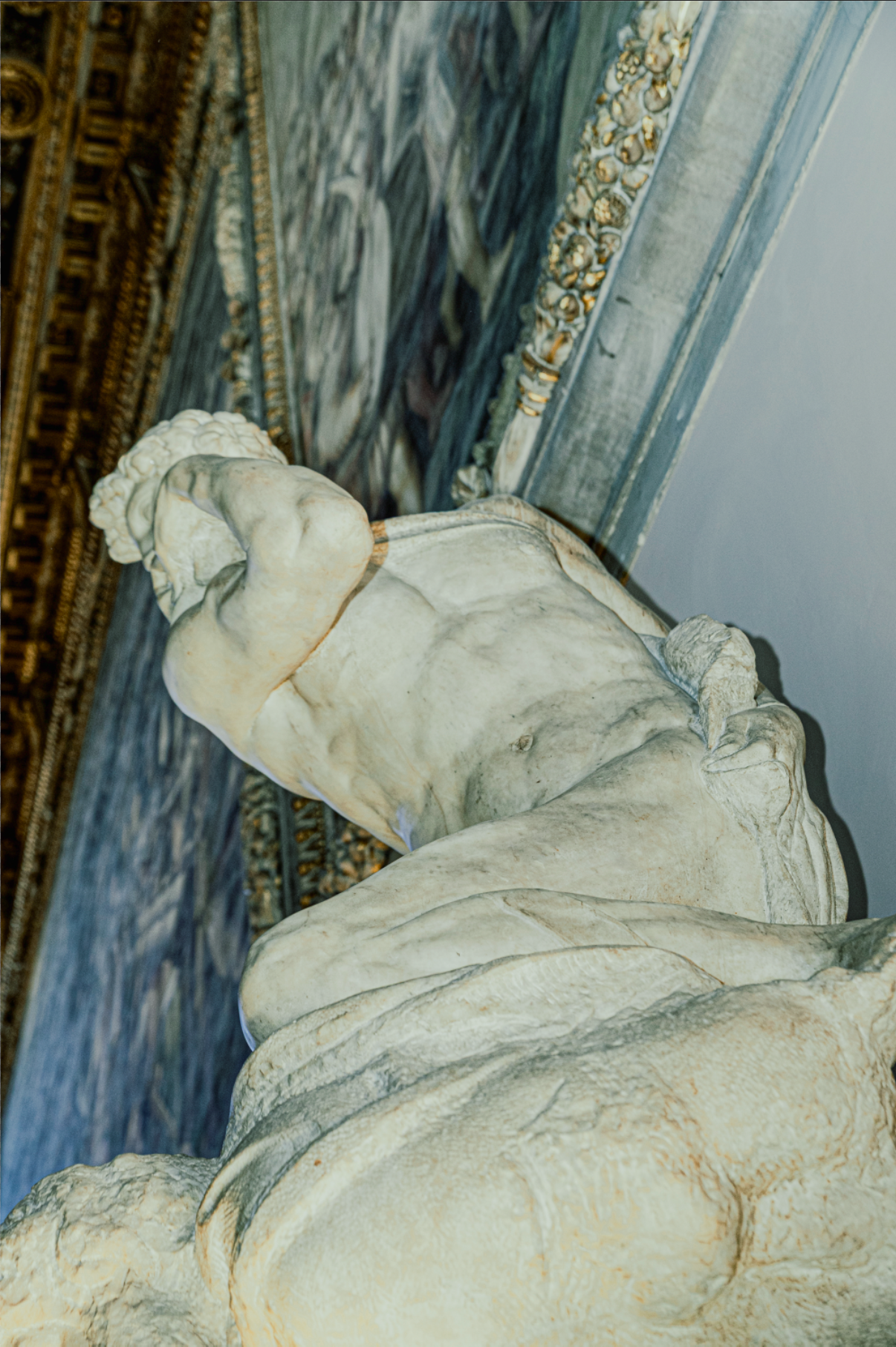 Michelangelo 550° Anniversary - Conference Image 4