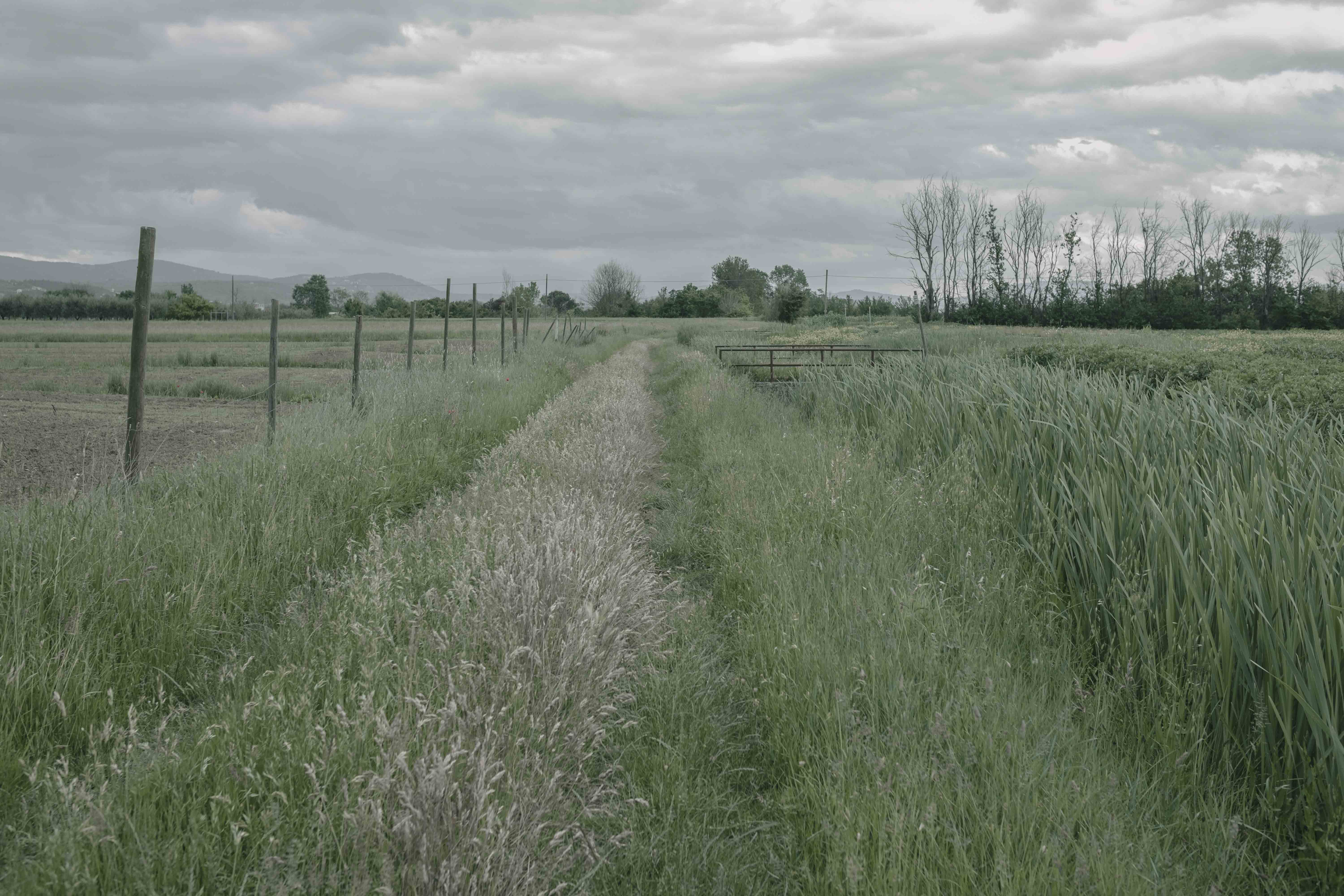 Quartiere 5 - Image 2
