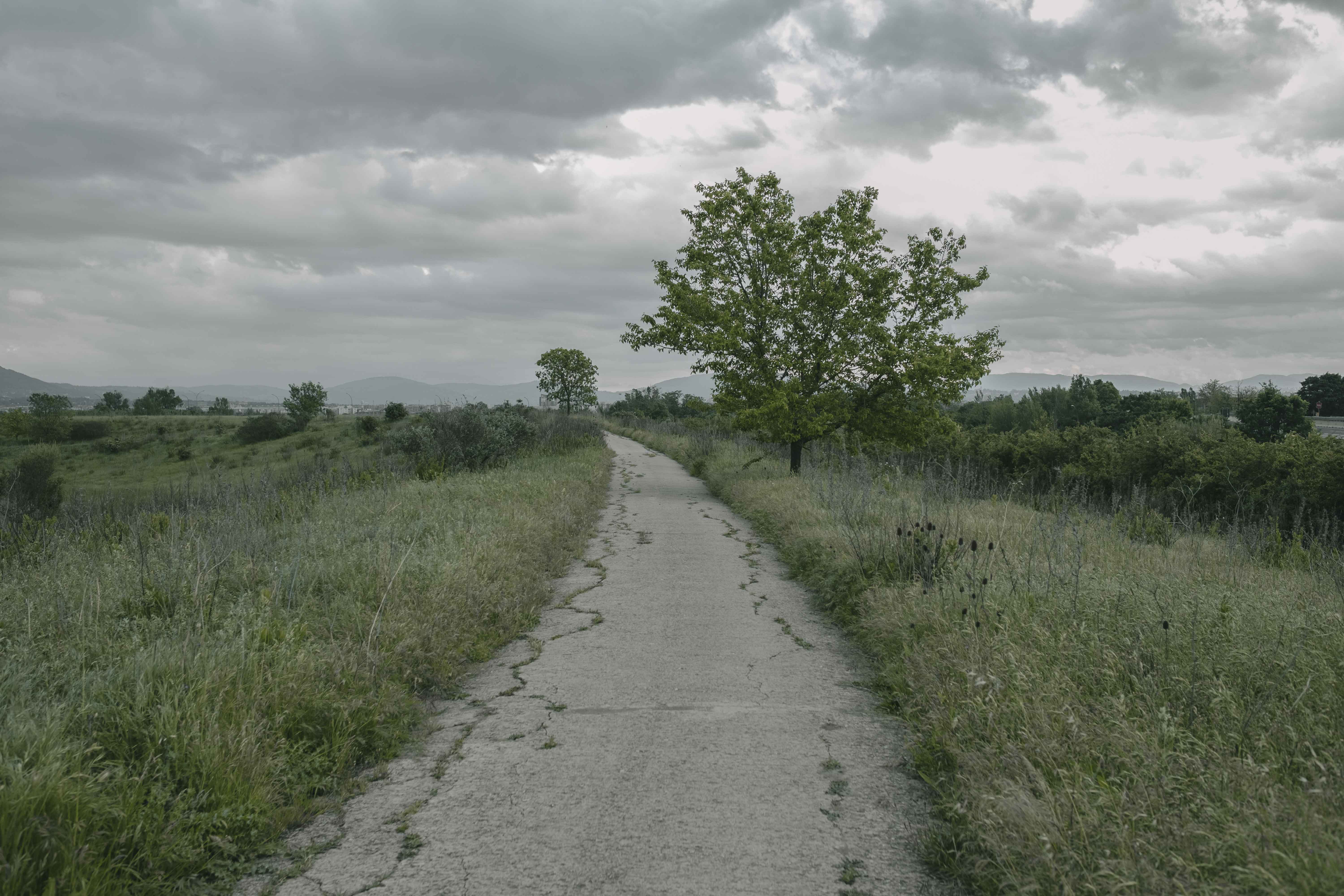 Quartiere 5 - Image 15
