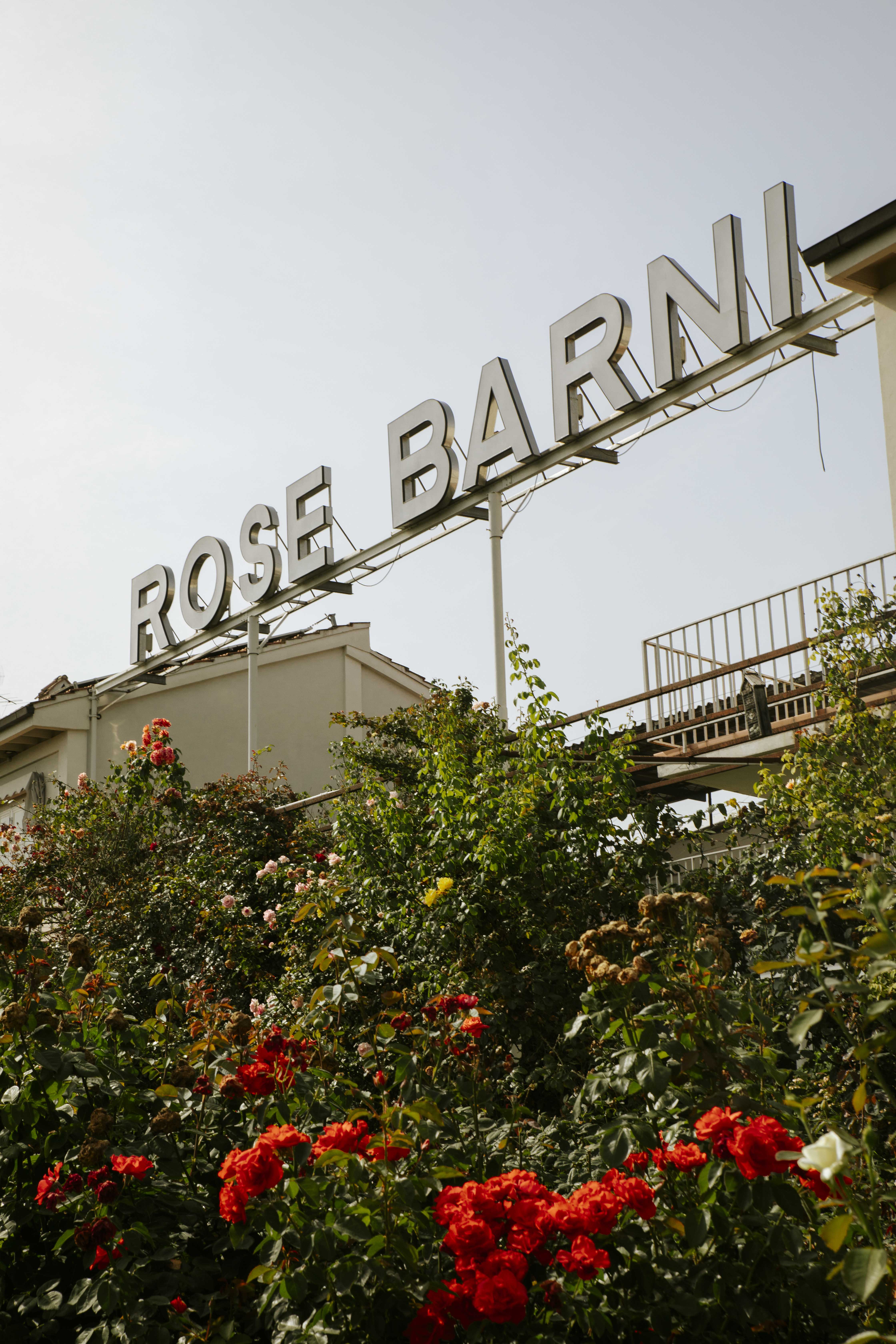 Symrec Fragrances x Rose Barni collaboration