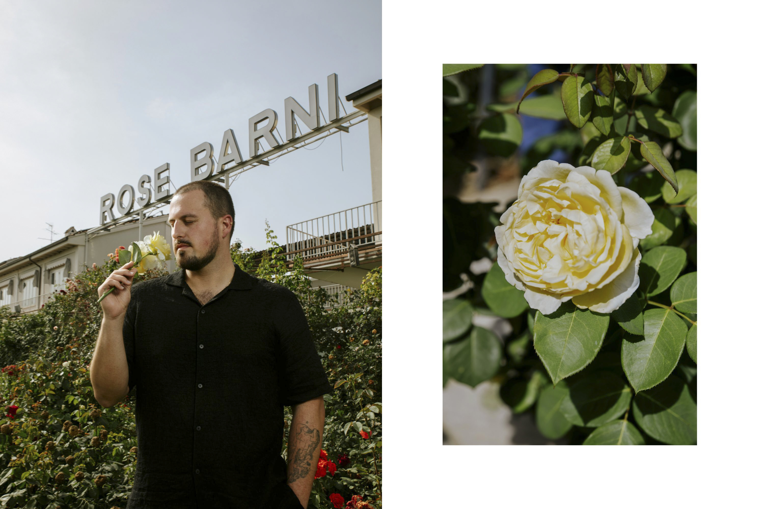 Symrec Fragrances x Rose Barni - Image 10