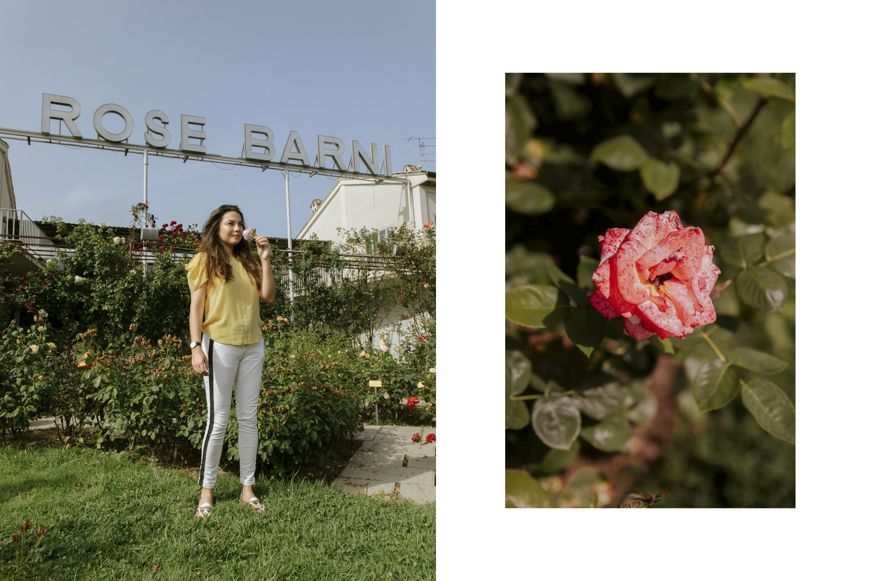 Symrec Fragrances x Rose Barni - Image 12