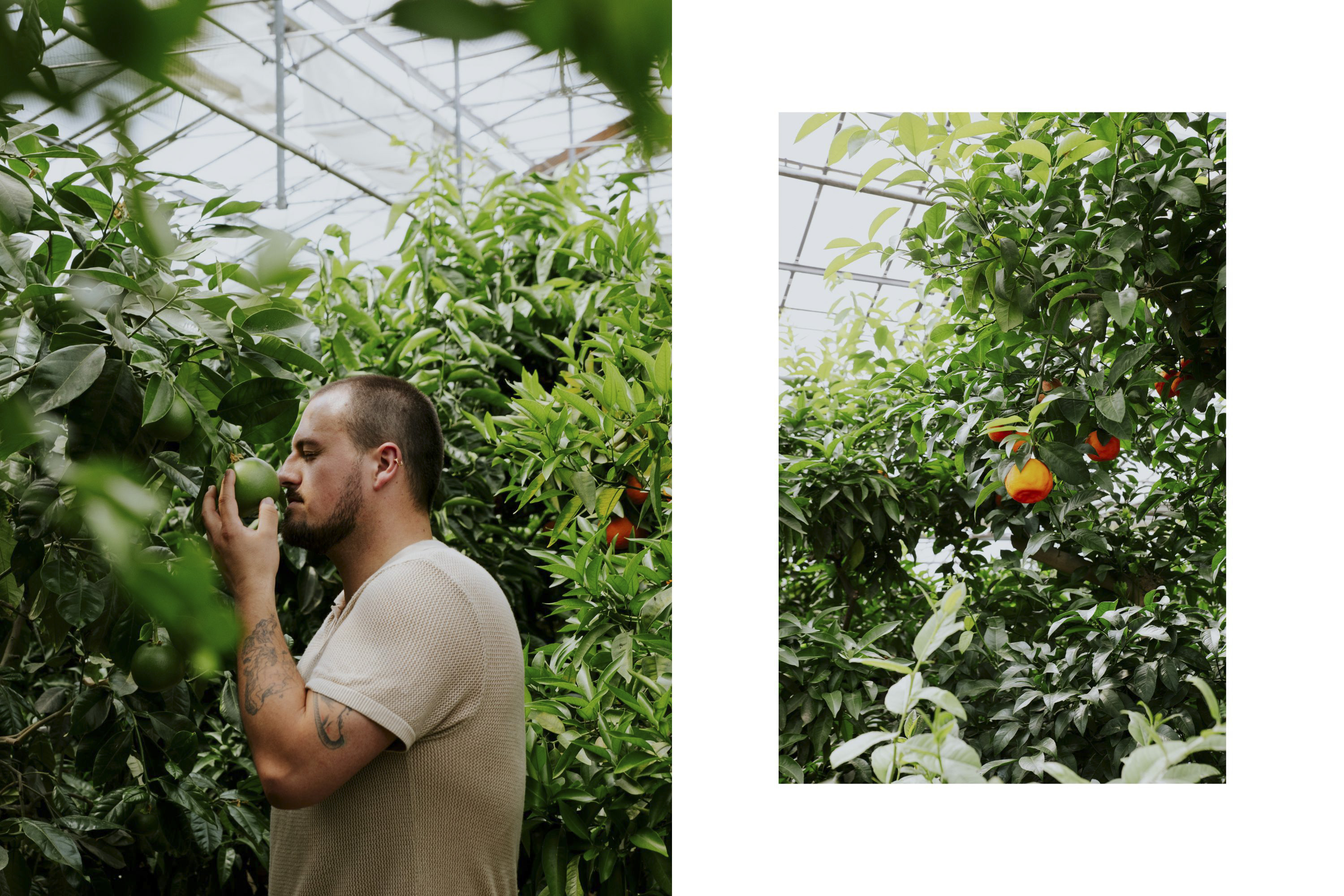 Symrec Fragrances x Rose Barni - Image 14