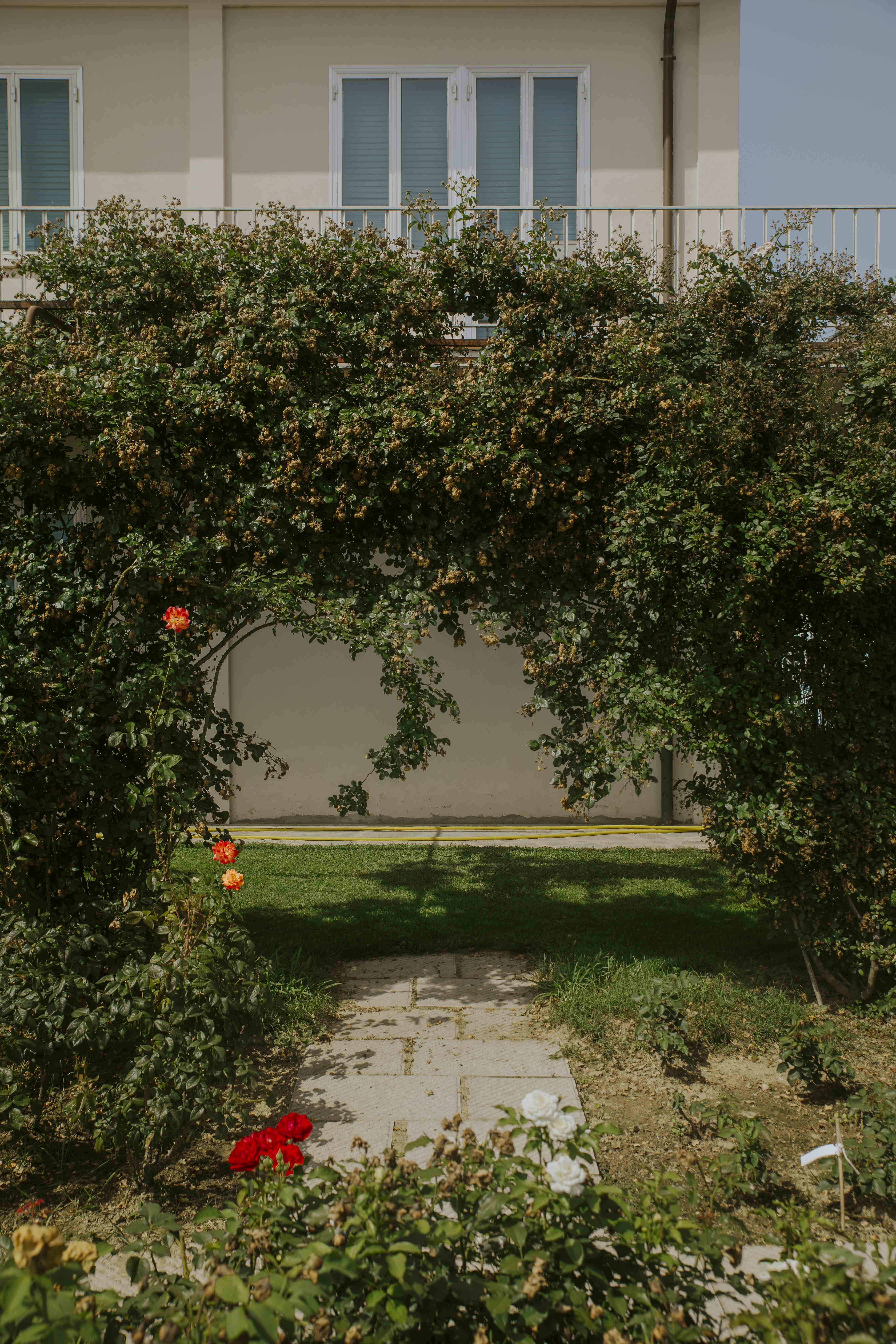 Symrec Fragrances x Rose Barni - Image 15
