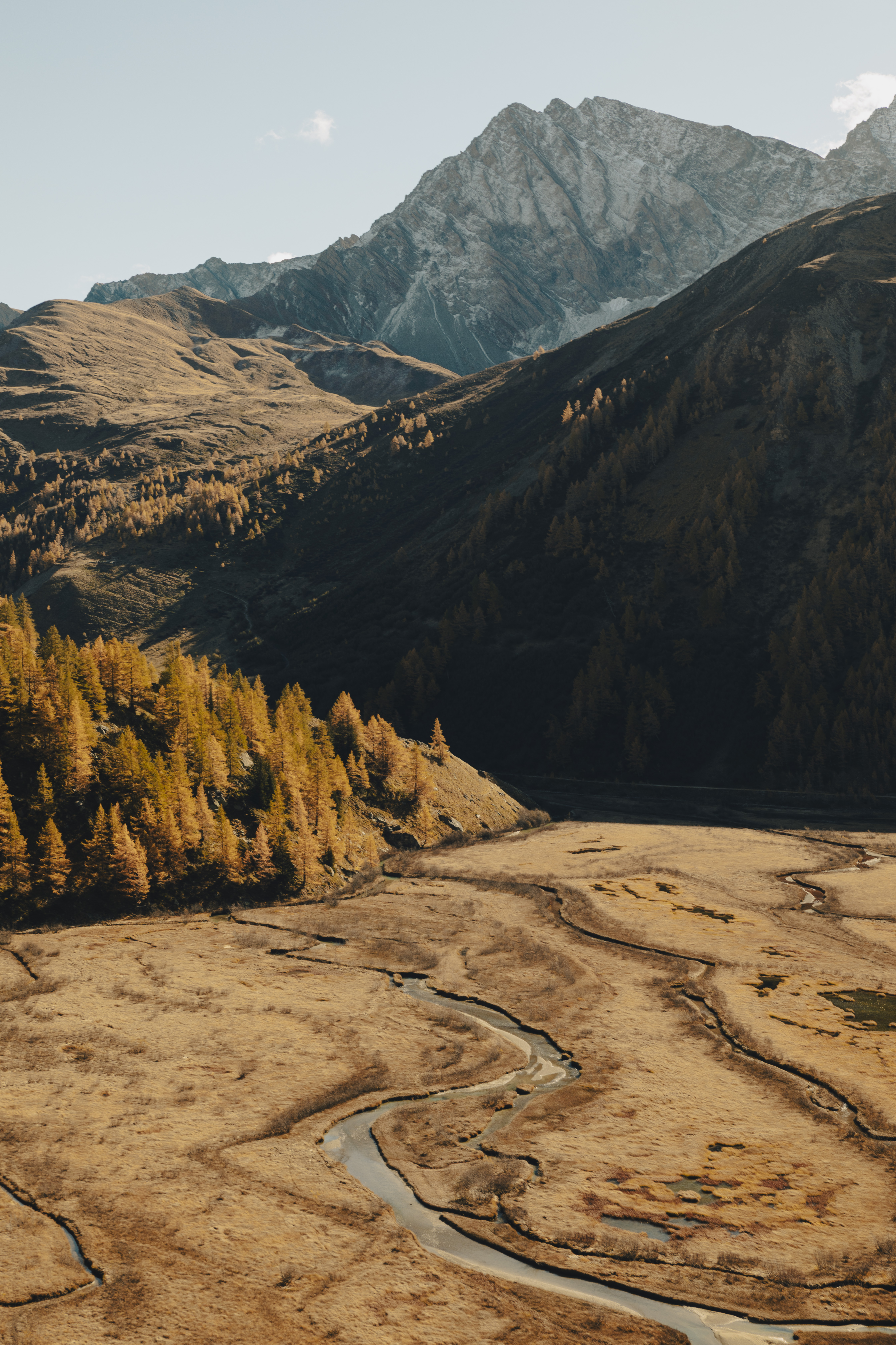 Visit Courmayeur Autumn Foliage - Image 7