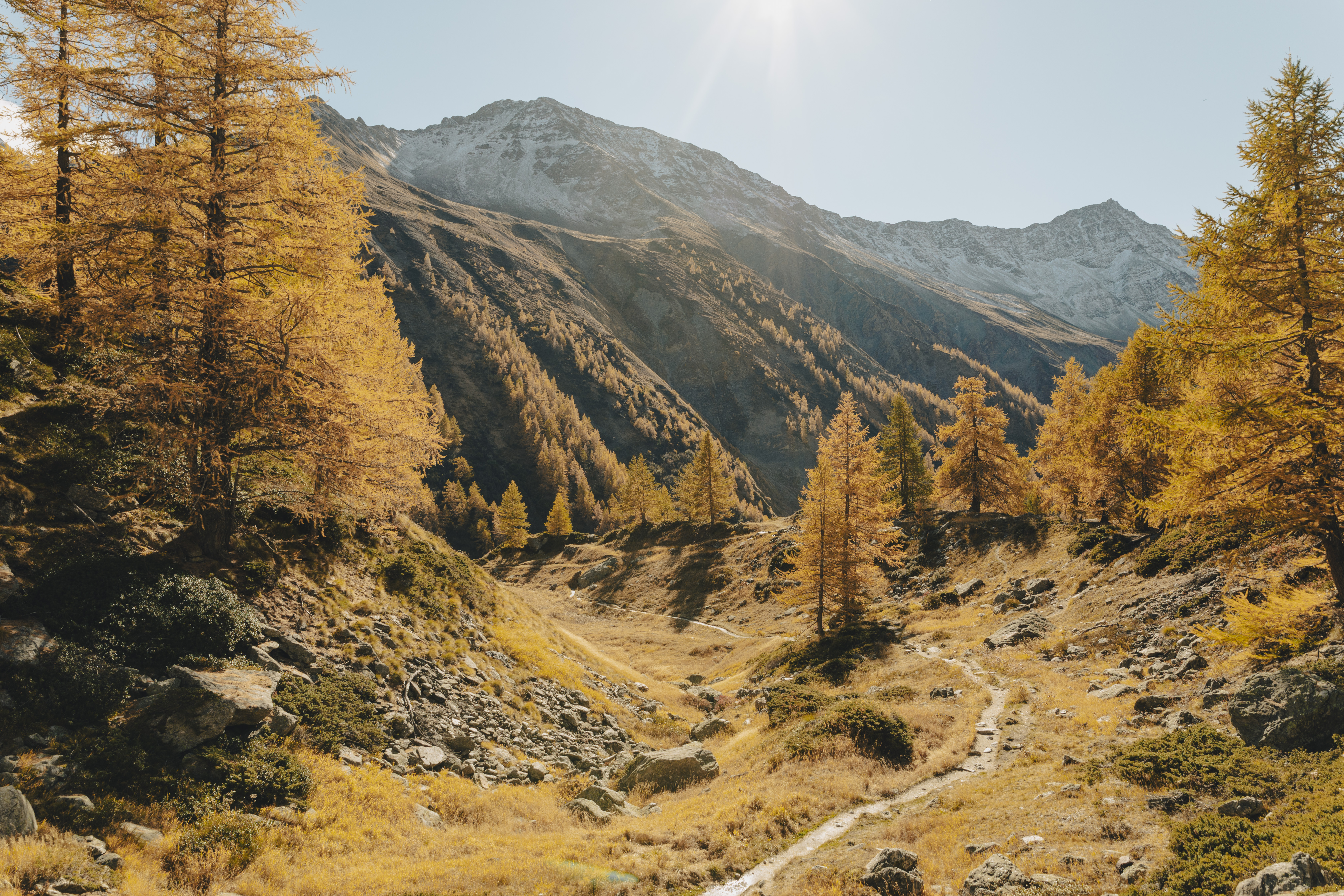 Visit Courmayeur Autumn Foliage - Image 9